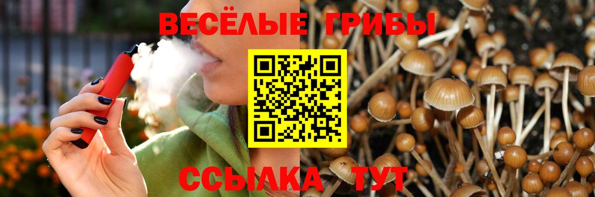 Псилоцибиновые грибы мицелий  Вход с VPN  Кыштым 